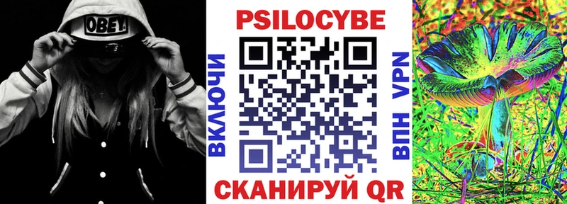 Псилоцибиновые грибы Magic Shrooms  omg как зайти  Салехард  купить  цена 